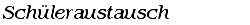 Sch�leraustausch