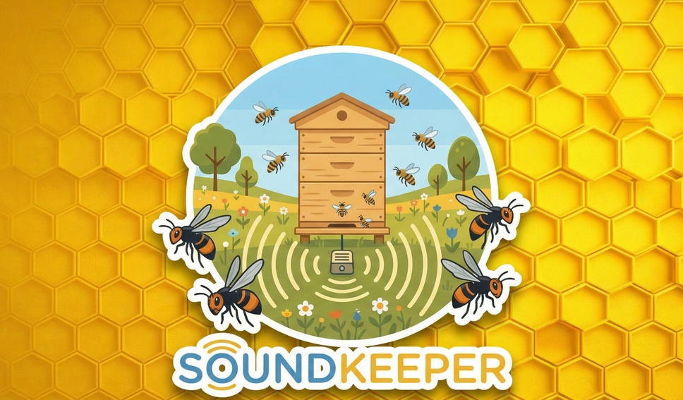 Engame startupverseny