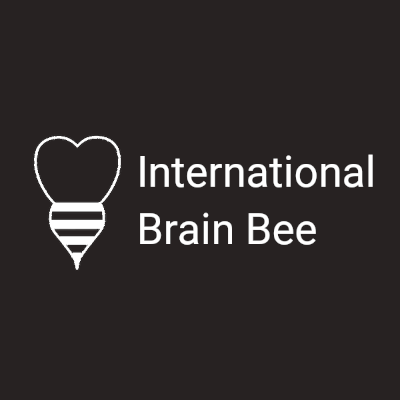 Brain Bee Verseny Brain Bee Verseny