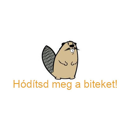 Hód informatika verseny Hód informatika verseny