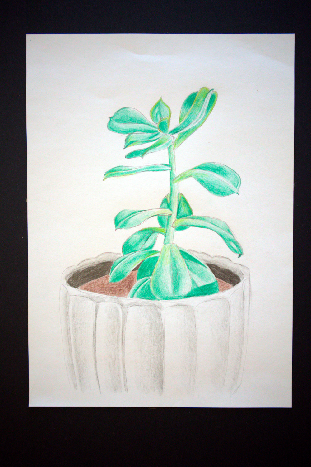 IB Visual Arts kiállítás