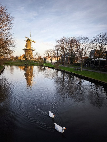 LEMUN, MODELL ENSZ Konferencia