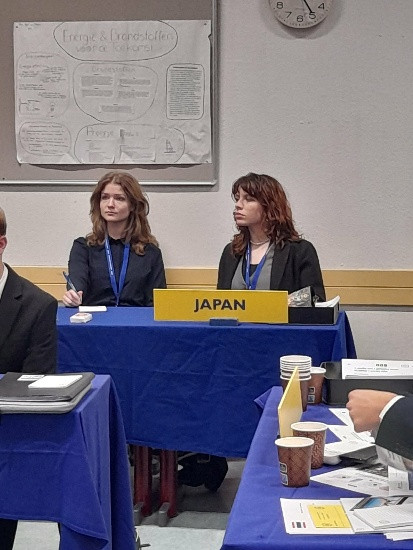 LEMUN, MODELL ENSZ Konferencia