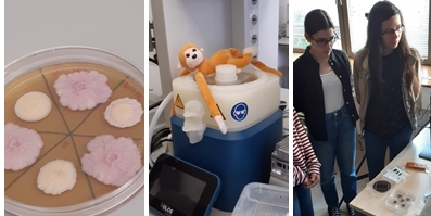 Látogatás a Pázmányon