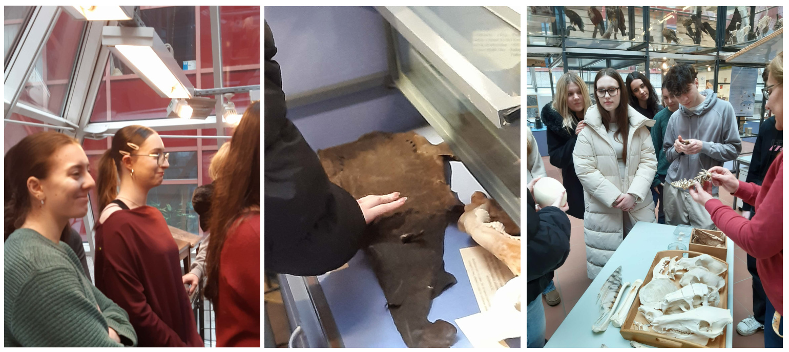 Látogatás az ELTE Természetrajzi Múzeumban