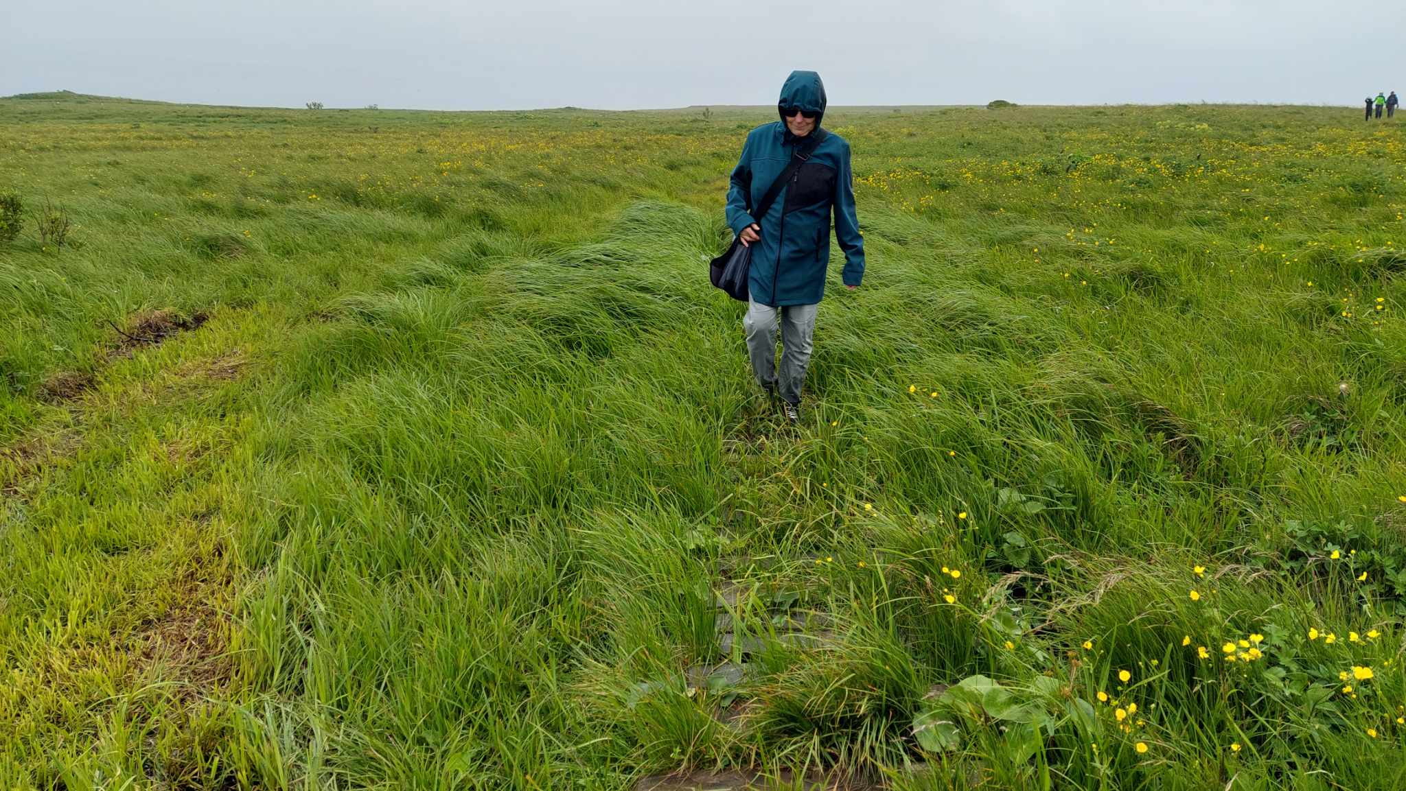 Kirándulunk az esőben