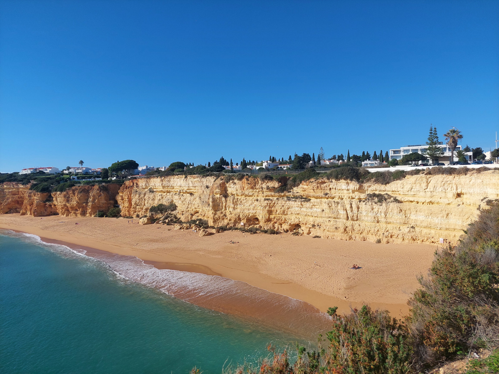 Erasmus+, Portugália